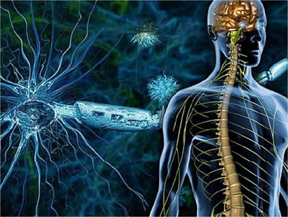 заболевания нервной системы картинки